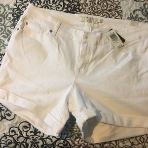 Torrid Shorts